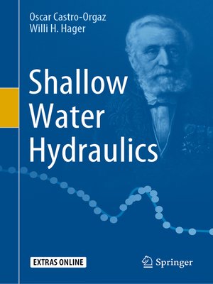 cover image of Shallow Water Hydraulics